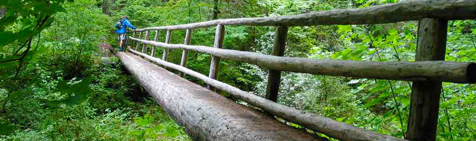 Slide Bridge